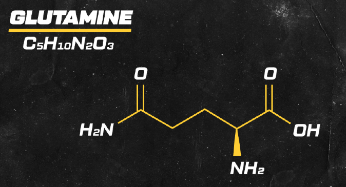 Glutamin