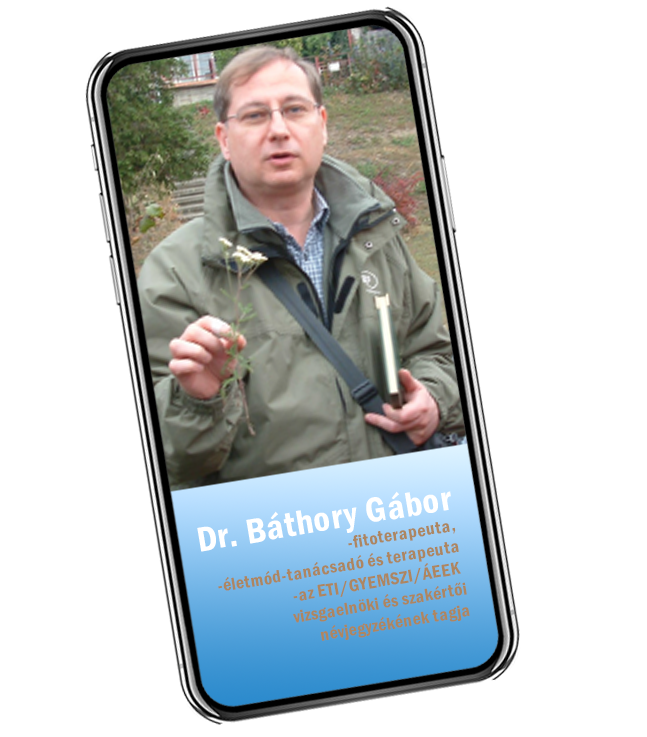 Dr. Báthory Gábor